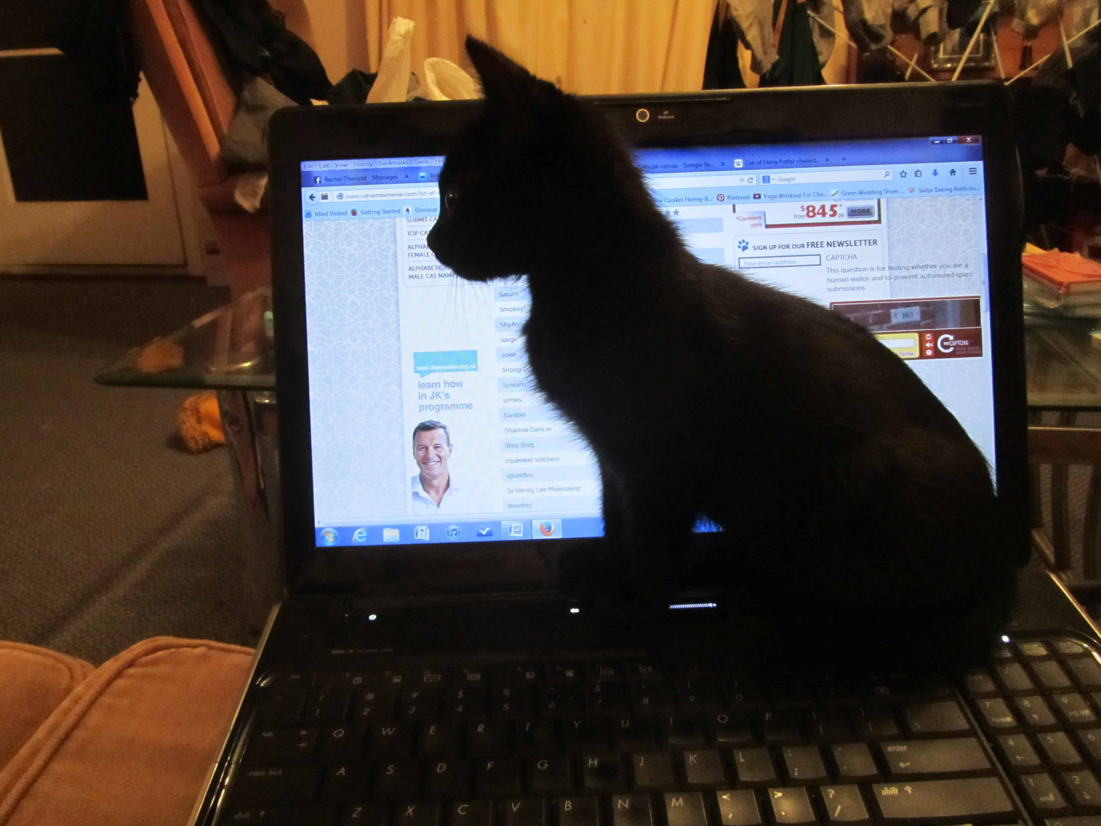 Shifty being really helpful!
