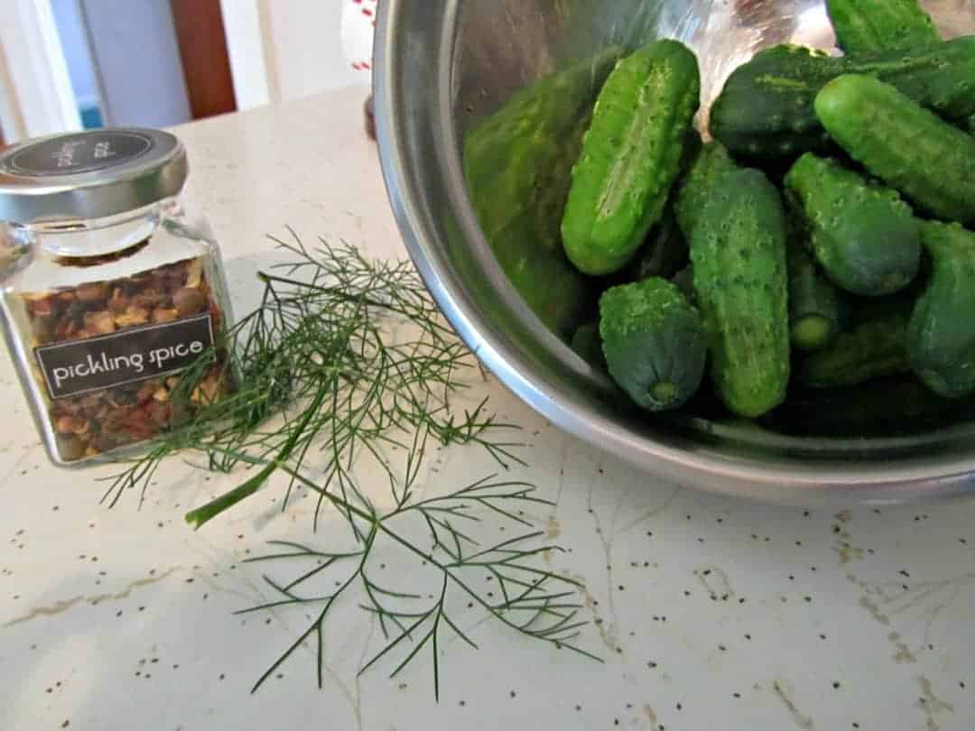 Bottled Gherkins (Homemade Dill Pickles) The Kiwi Country Girl