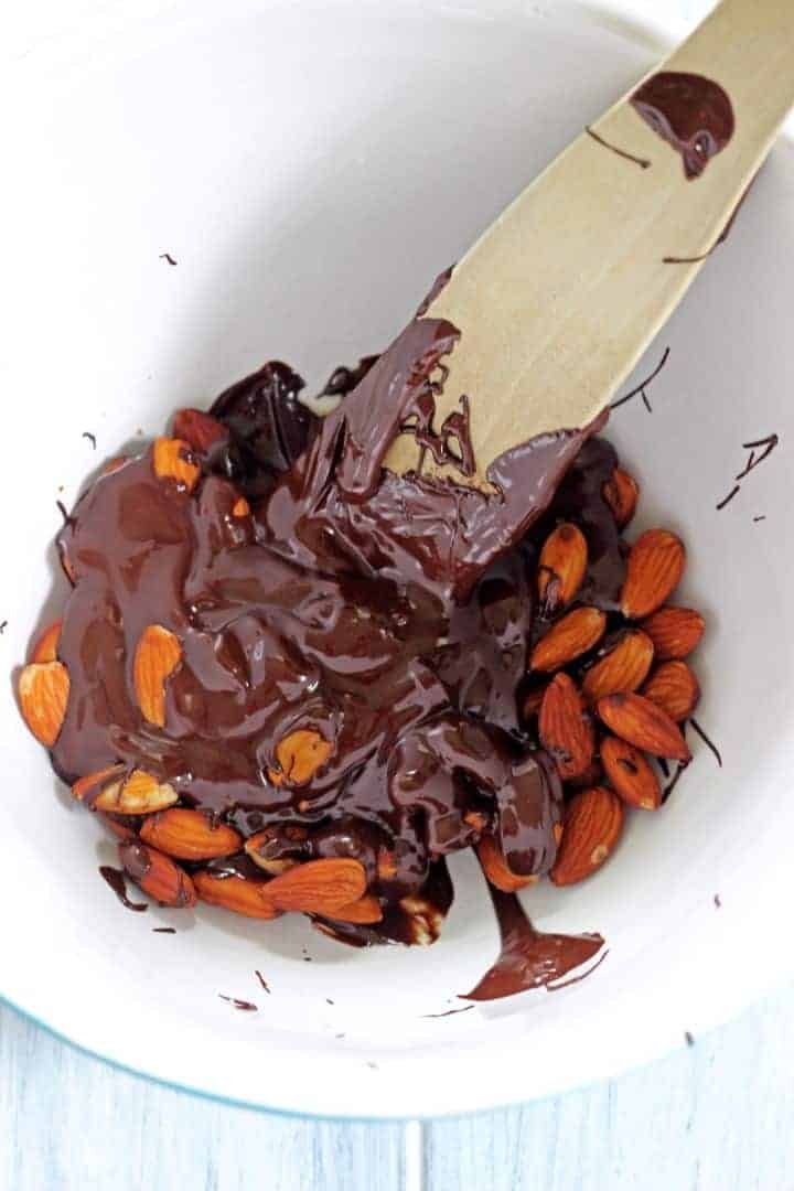 Dark chocolate coated almonds...the perfect holiday treat!
