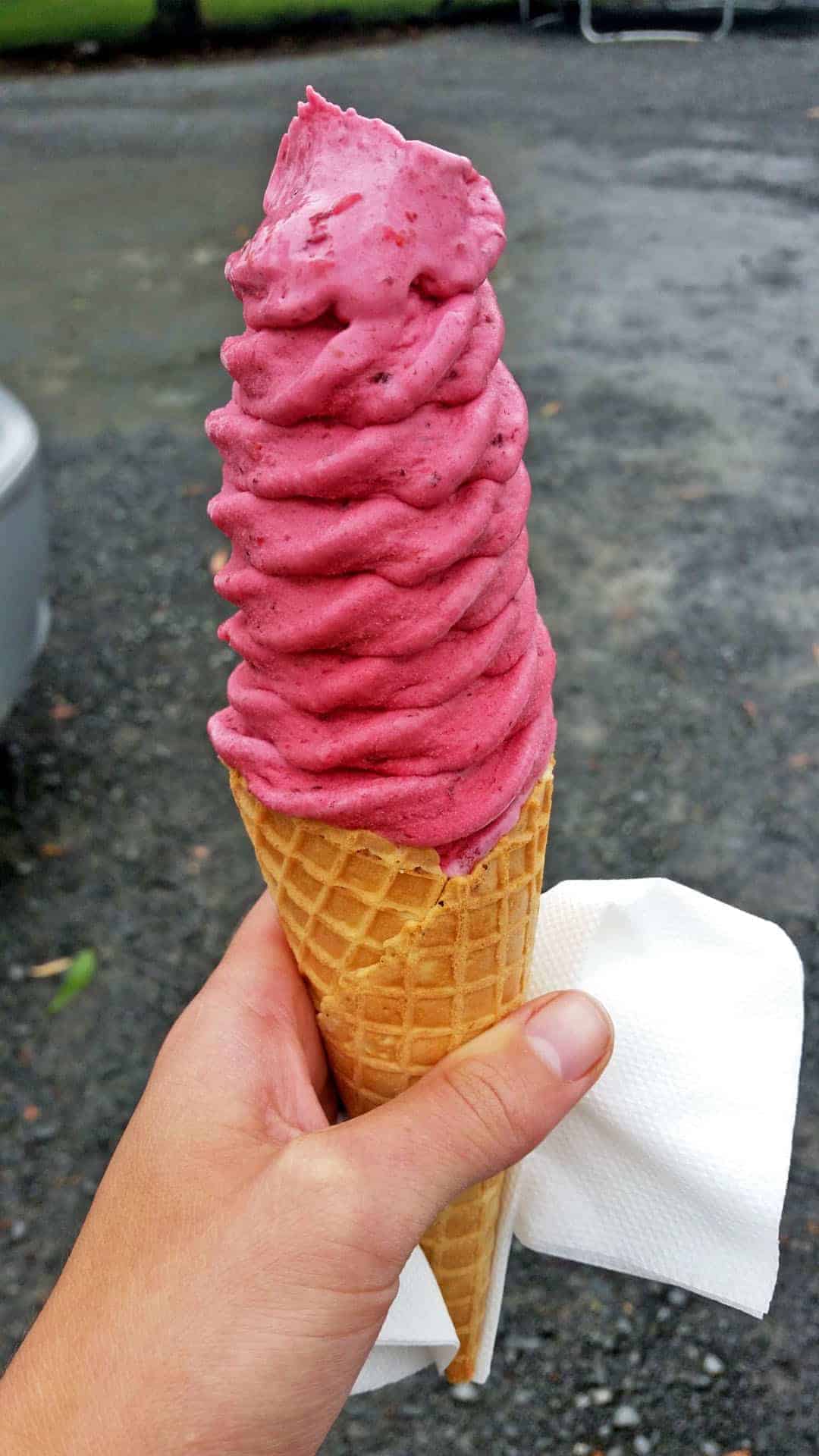 Real fruit ice-cream