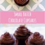 Small batch chocolate cupcakes - for those times you really feel like a chocolate cupcake but don't need 12!