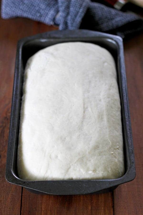 A simple recipe to help you master the basics of bread making - my favourite easy homemade white bread recipe! You'll be a master baker in no time! | thekiwicountrygirl.com