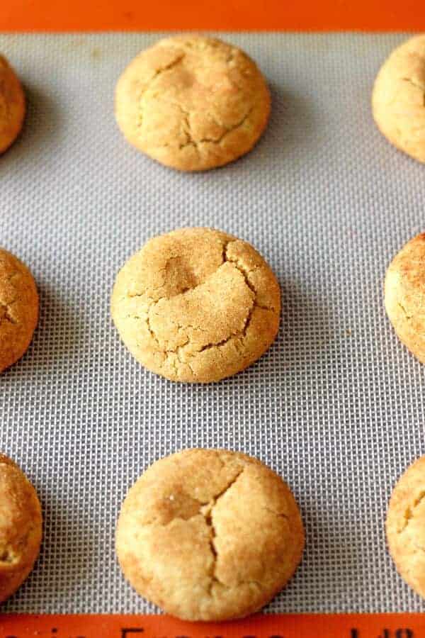 Soft & chewy snickerdoodles rolled in cinnamon sugar. They're sweet, a little bit spicy, soft and pillowy on the inside and crunchy on the outside | thekiwicountrygirl.com