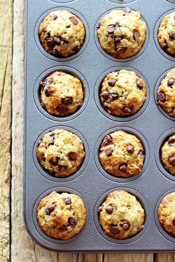 Mini Banana Chocolate Chip Muffins - perfect for lunchboxes and little hands, these mini muffins are packed full of banana chocolate goodness! | thekiwicountrygirl.com