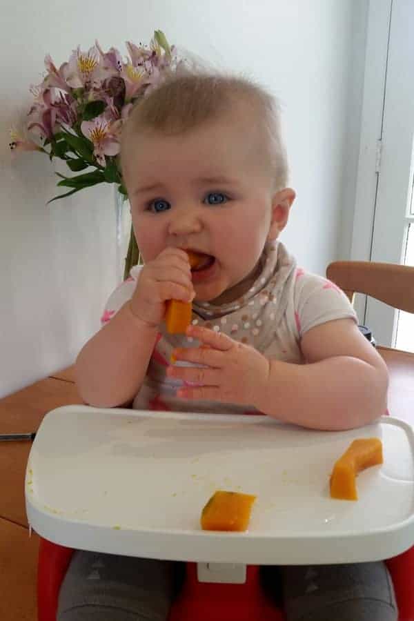 adie - 6 months - our happy baby girl and what she's been up to this month. Teeth have appeared, started solids and lots of outside adventures! | thekiwicountrygirl.com