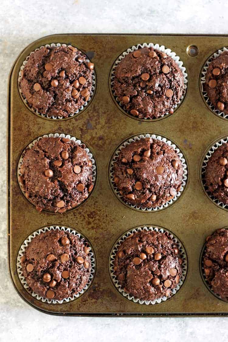 Muffin tray with chocolate muffins 