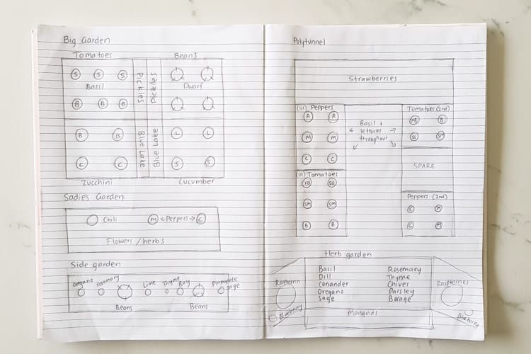 Notebook with garden plan drawn up